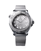 Seamaster Diver 300M