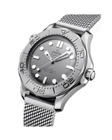 Seamaster Diver 300M