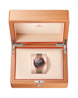 Seamaster Diver 300M