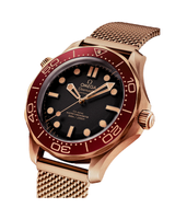 Seamaster Diver 300M