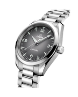 Seamaster Railmaster