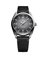 Seamaster Railmaster