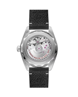 Seamaster Railmaster