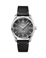 Seamaster Railmaster