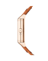 Reverso Tribute Geographic