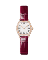 Tortue watch