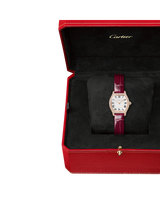 Tortue watch