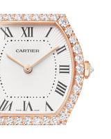 Tortue watch