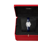 Tortue watch