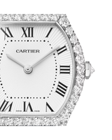Tortue watch