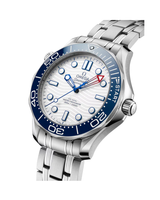 Seamaster Diver 300M