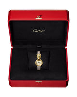 LA PANTHERE, 22 MM, QUARTZ, YELLOW GOLD, DIAMONDS, TSAVORITES, LACQUER, LEATHER