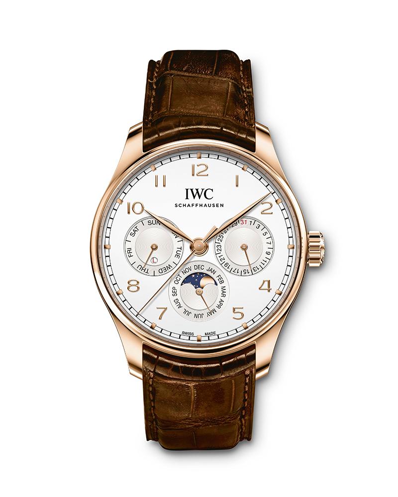 Iwc schaffhausen pris best sale