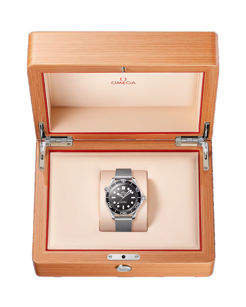 Seamaster Diver 300M