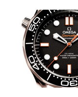 Seamaster Diver 300M