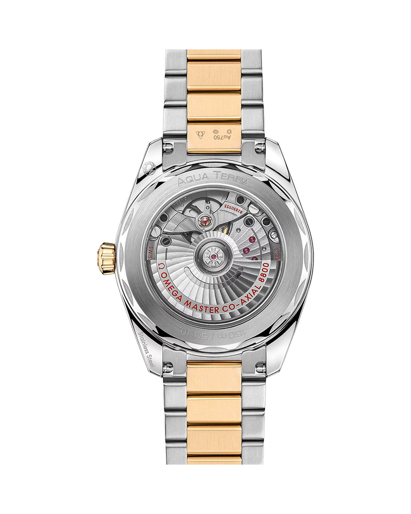 Seamaster Aqua Terra 150M