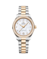 Seamaster Aqua Terra 150M