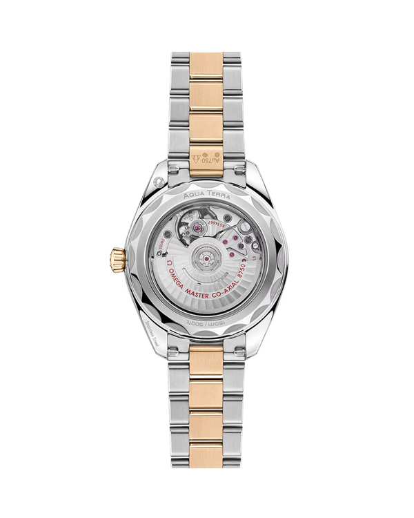 Seamaster Aqua Terra 150M