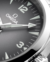 Seamaster Railmaster