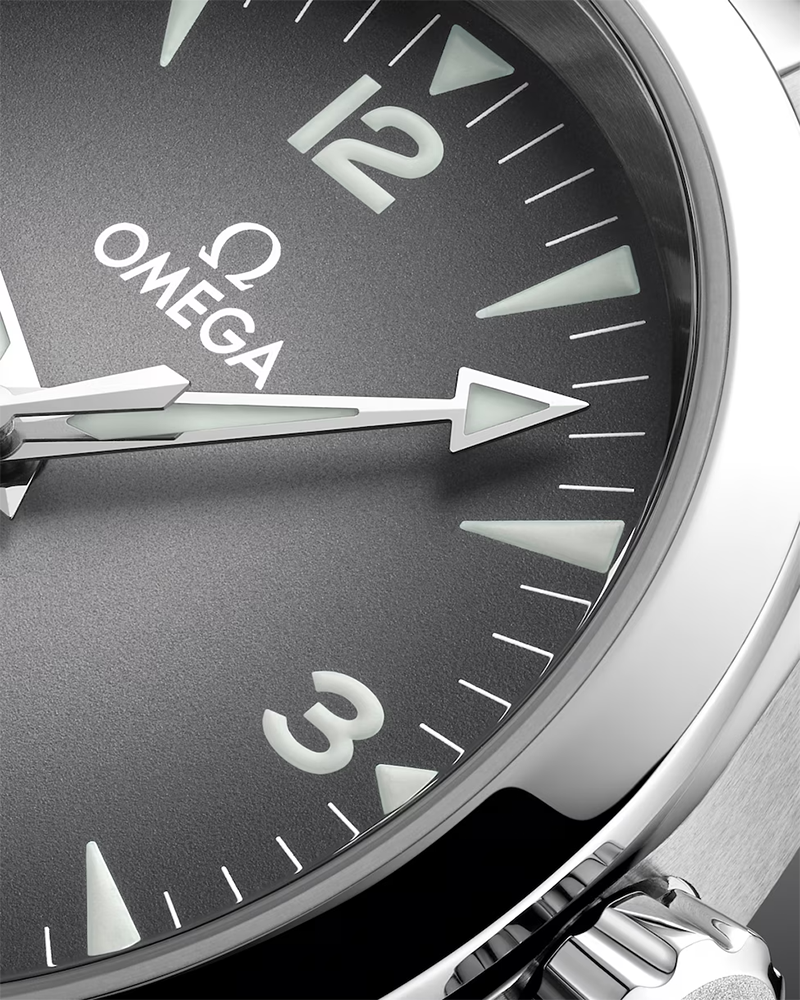 Seamaster Railmaster