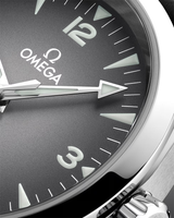 Seamaster Railmaster