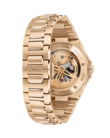 Ingenieur Tourbillon 41