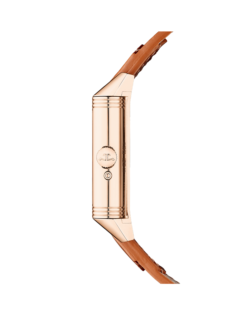 Reverso Tribute Geographic