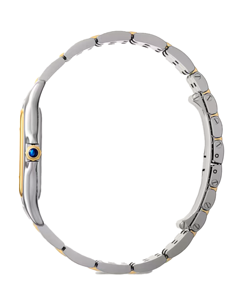 Panthère de Cartier, Large, Stainless Steel Yellow Gold