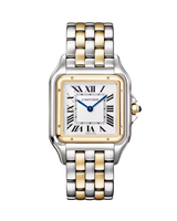 Panthère de Cartier, Large, Stainless Steel Yellow Gold