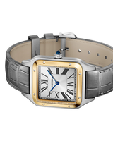 Santos-Dumont Watch