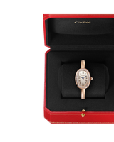 Baignoire Watch