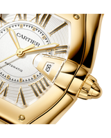 Roadster watch
