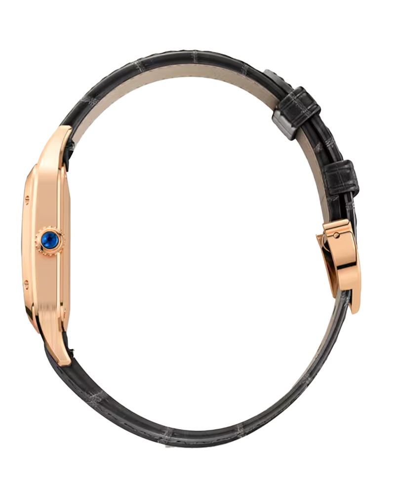 Santos-Dumont watch
