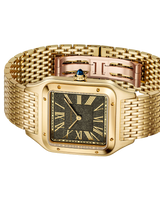 Santos-Dumont Watch