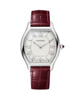 Tortue watch