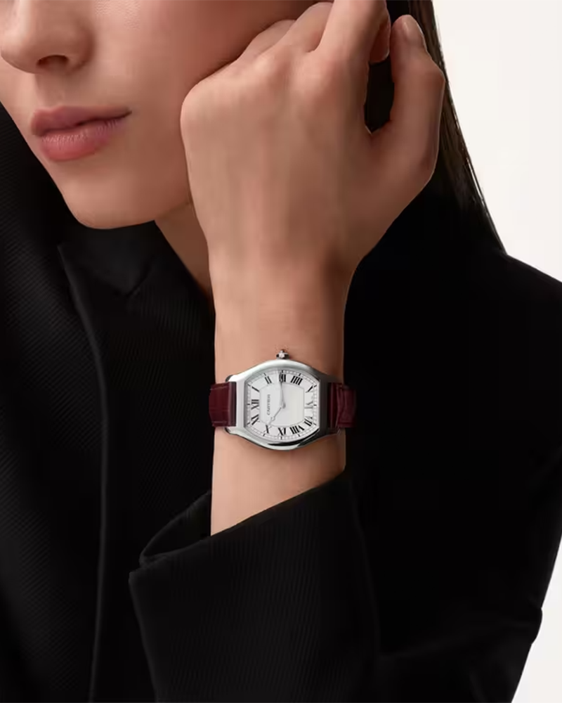 Tortue watch