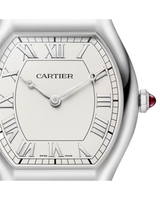 Tortue watch
