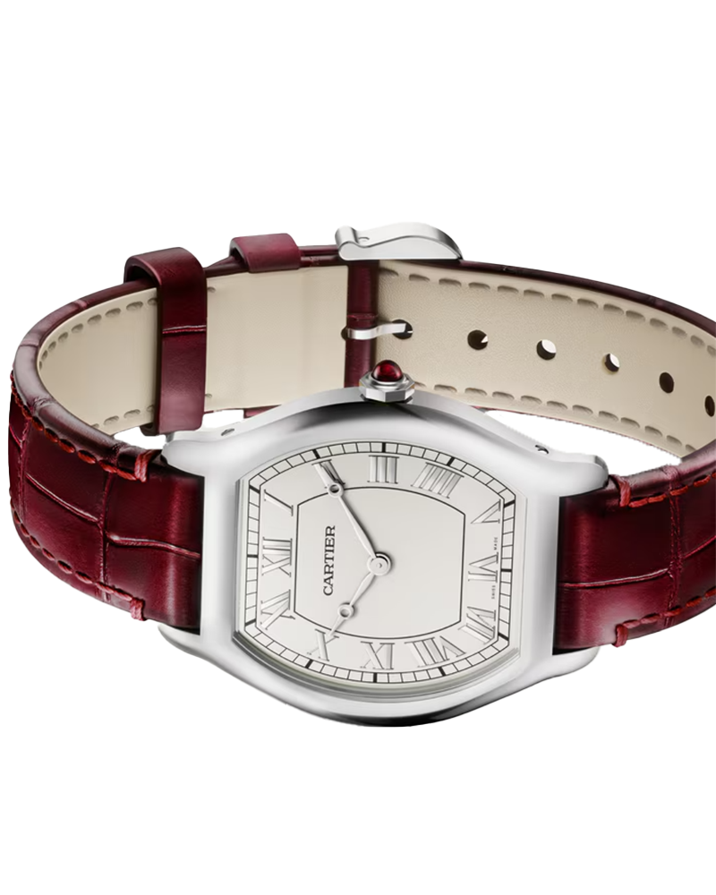 Tortue watch