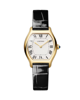 Tortue watch