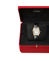 Tortue watch