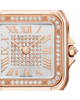 Panthere de Cartier