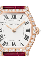 Tortue watch