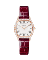 Tortue watch