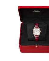 Tortue watch