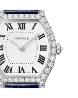 Tortue watch