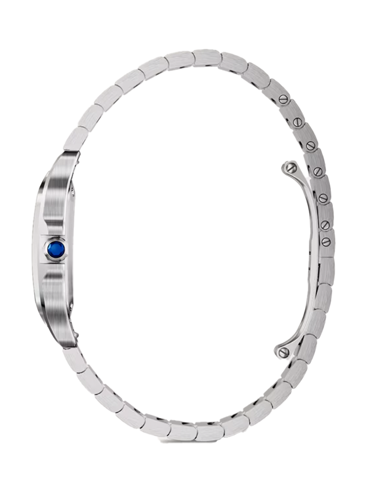 Santos de Cartier, Small, Steel, Quartz