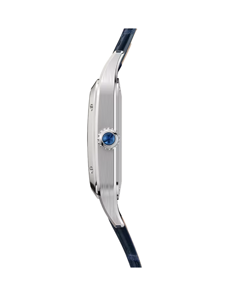 Santos Dumont watch, Steel