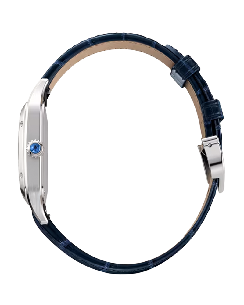 Santos Dumont watch, Steel