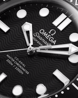 Seamaster Diver 300M
