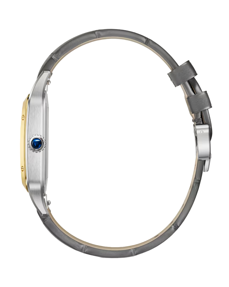 Cartier - Santos Dumont Extra Large Watch for Men with Grey
